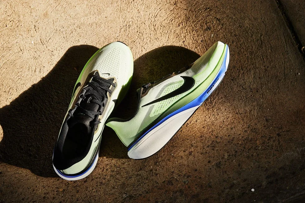 Pegasus 42 Pegasus 42